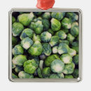 Pesquisar por nutricionista ornamentos Fotografia