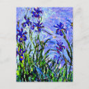 Pesquisar por flor lilás cartoes postais Violeta