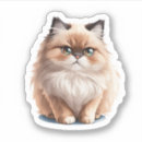Pesquisar por clipart adesivos Gato