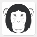 Pesquisar por chimpanzé adesivos Vida selvagem