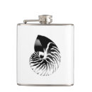 Pesquisar por escudo cantis Seashell