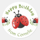 Pesquisar por festa de aniversário do joaninha adesivos Girl