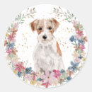 Pesquisar por jack russell adesivos Aquarela