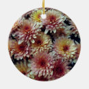 Pesquisar por crisântemo ornamentos Jardim