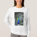 Pesquisar por pavão colorido camisetas Pena