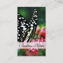 Pesquisar por borboletas vermelhas cartao de visita Floral