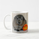 Pesquisar por guinea pig canecas Roedor