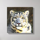 Pesquisar por cara do gato impressão de canvas Animais