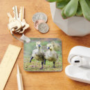 Pesquisar por animal wildlife chaveiros Bird