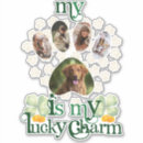 Pesquisar por cachorros adesivos Pata