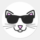 Pesquisar por gato dos óculos sol adesivos Gatinho