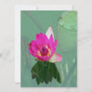 Pesquisar por flor flor lírio convites Rosa