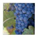 Pesquisar por uva azulejos Uvas roxas