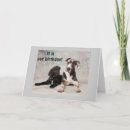 Pesquisar por compartilhado cartoes Engraçado