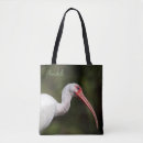 Pesquisar por íbis bolsas Natureza
