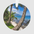 Pesquisar por palmeira ornamentos Hawaii