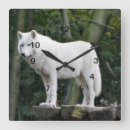Pesquisar por wild dog Wolf