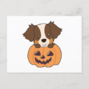 Pesquisar por happy halloween cartoes postais Cães