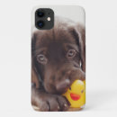 Pesquisar por labrador capas Animal