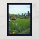 Pesquisar por hinduísmo cartoes postais Religioso