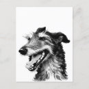 Pesquisar por lobo branco preto cartoes postais Cão