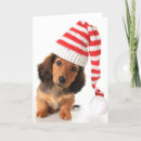 Pesquisar por cute dachshund cartoes Animal