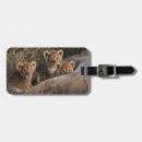 Pesquisar por trio bagagem tags Animal