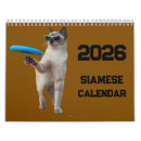 Pesquisar por gato siamese calendarios Siamês