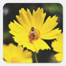 Pesquisar por cosmos adesivos Jardim