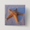 Pesquisar por austrália botons Horizontal