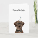 Pesquisar por chocolate labrador cartoes Pai
