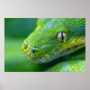 Pesquisar por olhos de cobra pôsteres Assustador