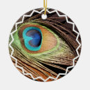 Pesquisar por pena do pavão ornamentos Pavões