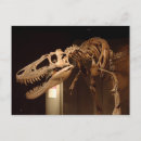 Pesquisar por pré história cartoes postais Dinossauro