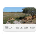 Pesquisar por kalahari imas Botsuana