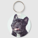 Pesquisar por bulldogs chaveiros Cães