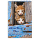 Pesquisar por calendários engraçados calendarios Gatinho