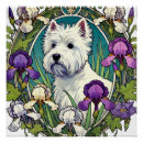 Pesquisar por westie pôsteres Terrier