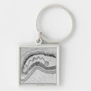 Pesquisar por serpentes chaveiros Escola