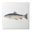 Pesquisar por pintura peixes azulejos Mar