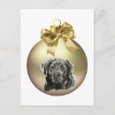 Pesquisar por labrador retriever cartoes postais Feriado
