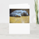 Pesquisar por gato preguiçoso cartoes Animal