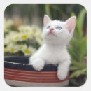Pesquisar por turco adesivos Gatinho