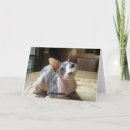 Pesquisar por esfinge… cartoes Saudação