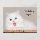 Pesquisar por gato persa branco cartoes postais Fofofo