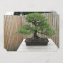 Pesquisar por bonsais Japonês