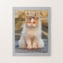 Pesquisar por gatos e gatinhos fotos quebra cabecas Engraçado
