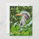 Pesquisar por hera verde cartoes postais Natureza