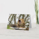 Pesquisar por coragem cartoes Fotografia