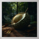 Pesquisar por durian Árvore